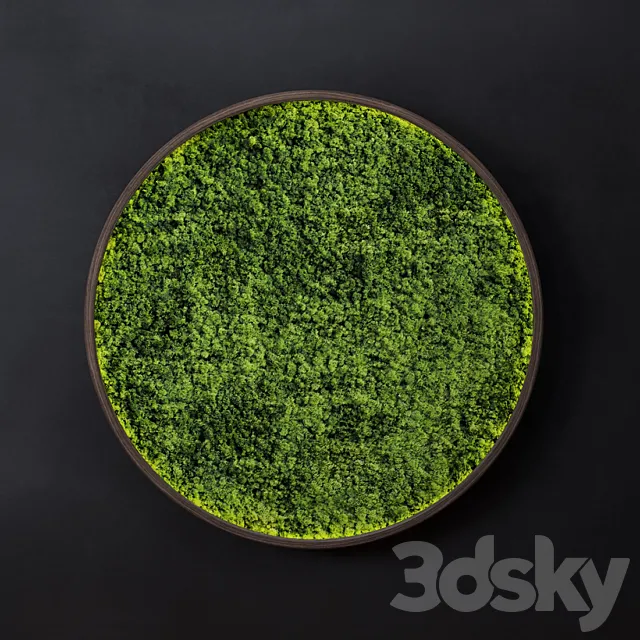 Moss wall disk 3D Model Moss wall disk 3D Model