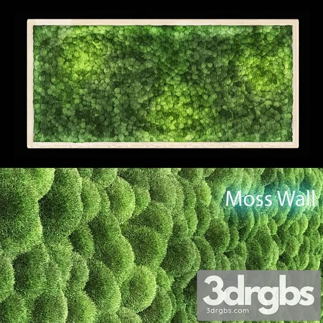 Moss wall Moss wall