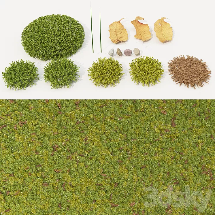 moss_collection 3D Model moss_collection 3D Model