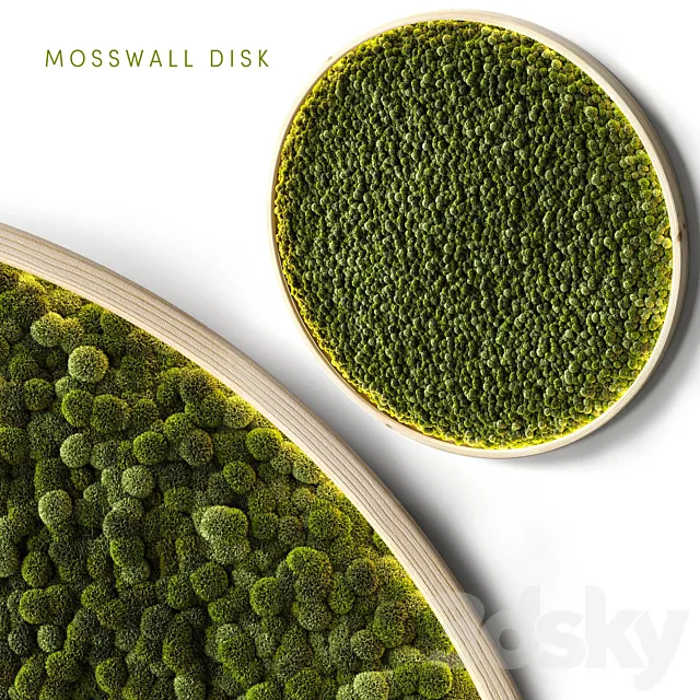 Mosswall disk 2 3D Model Mosswall disk 2 3D Model