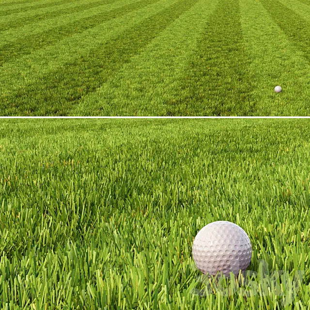 Mowed Lawn 3D Model Mowed Lawn 3D Model