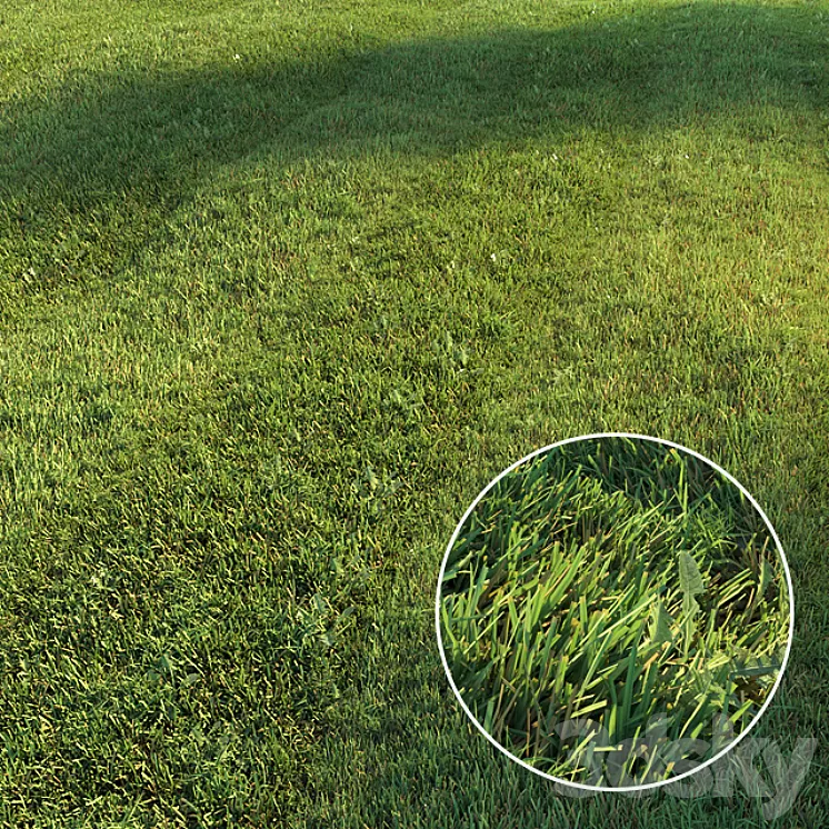 Mowed lawn 3D Model Mowed lawn 3D Model