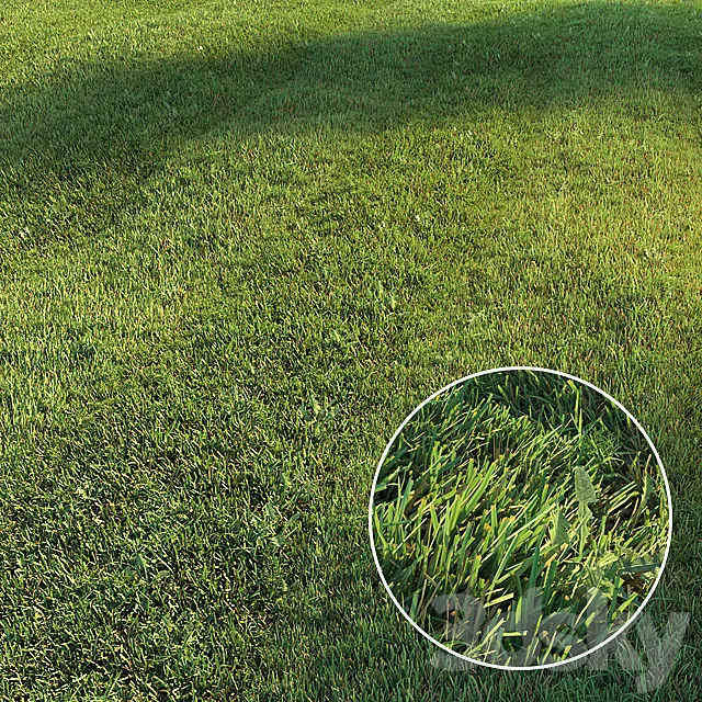 Mowed lawn 3DModel Mowed lawn 3DModel
