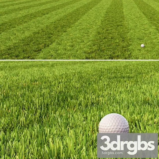 Mown Lawn 1 3D Model Download