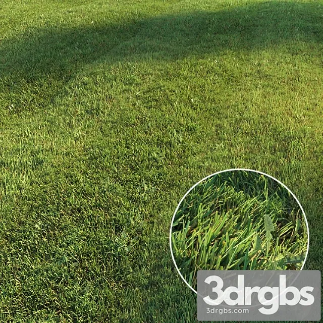Mown Lawn 3D Model Download