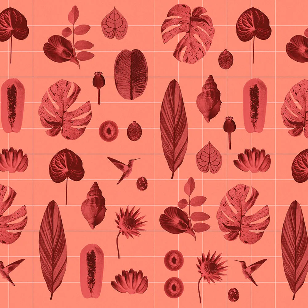 Murals – Wallpaper CORNET DE VOYAGE 3D Model