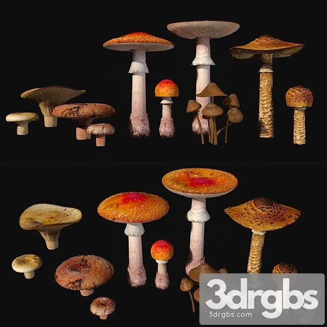 Mushrooms. set1 3D Model Download