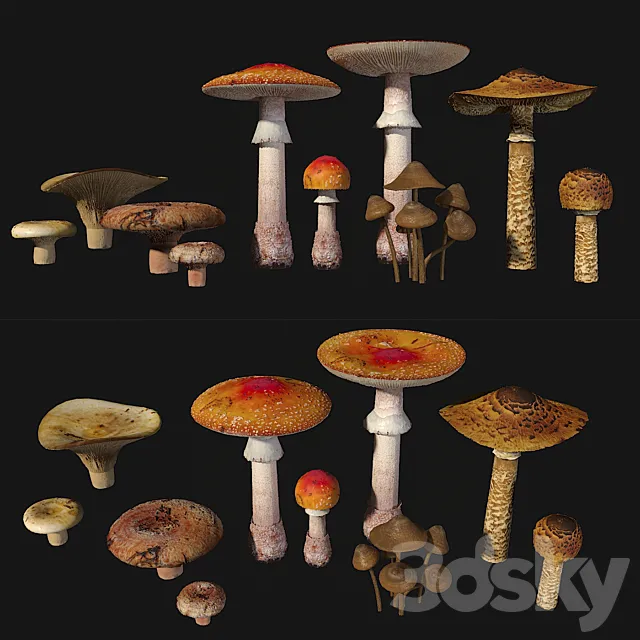 Mushrooms. Set1 3D Model