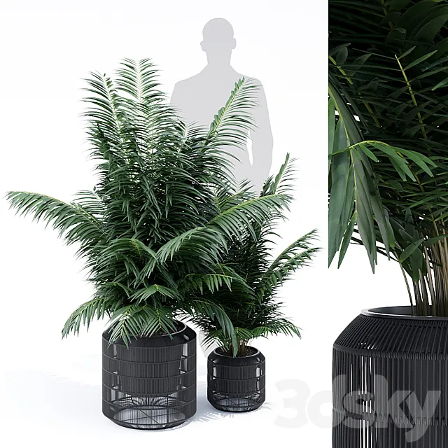 Nadda 3DModel Nadda 3DModel