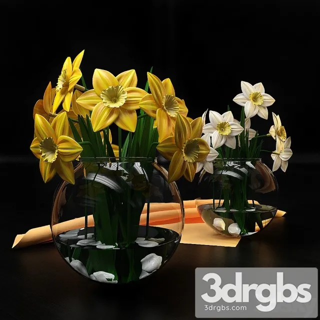Narcissus Flowers 3D Model Download Narcissus Flowers 3D Model Download