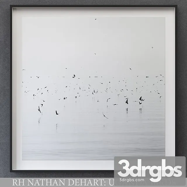 Nathan Dehart Uganda Birds 3D Model Download Nathan Dehart Uganda Birds 3D Model Download