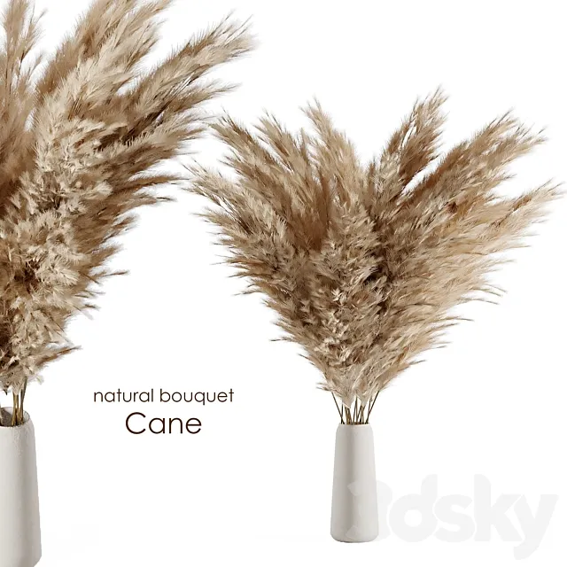 Natural cane bouquet 3DModel Natural cane bouquet 3DModel