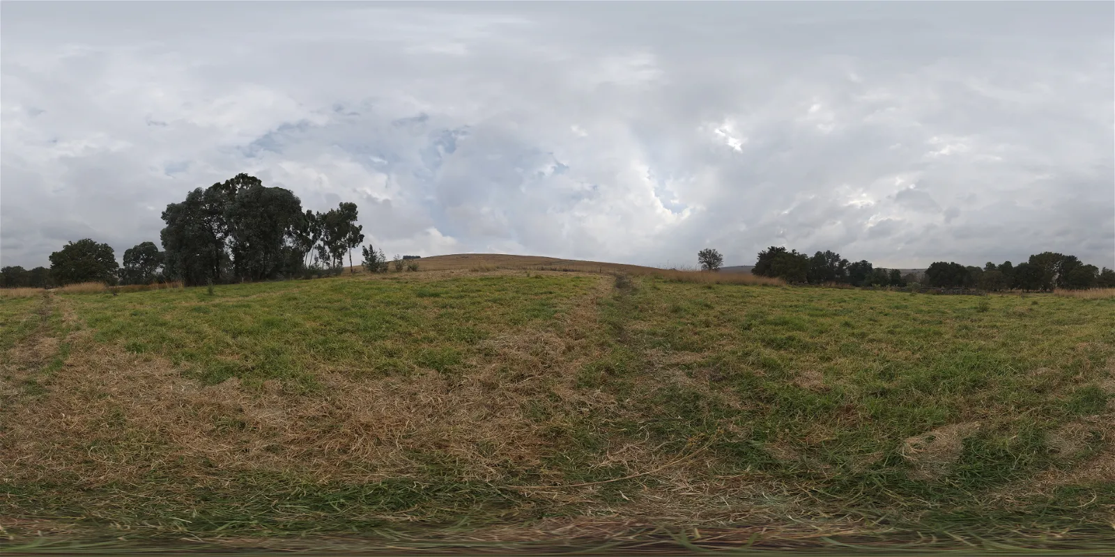 Belfast Open Field Belfast Open Field