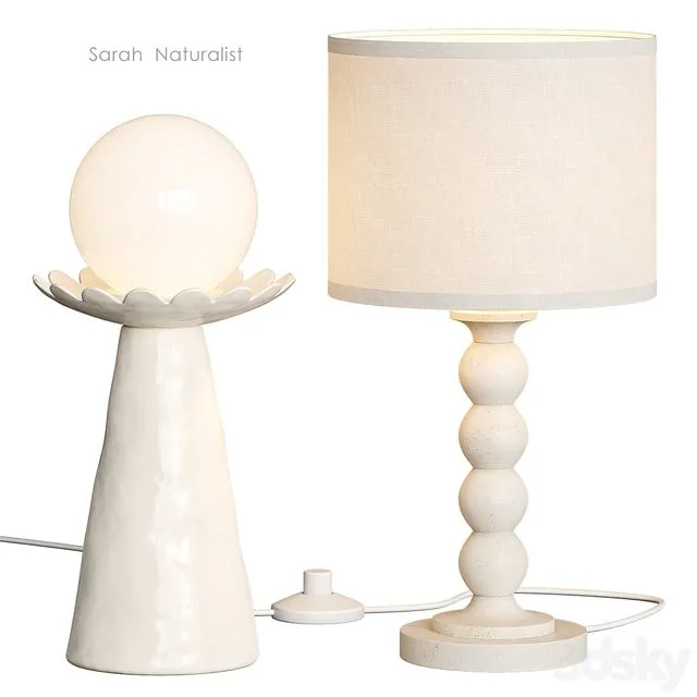 Naturalist Sarah West Elm Table Lamp 3D Model Naturalist Sarah West Elm Table Lamp 3D Model