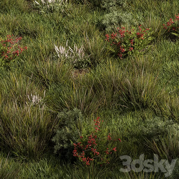 Nature Meadow – Grass Set 17 3D Model Free Download
