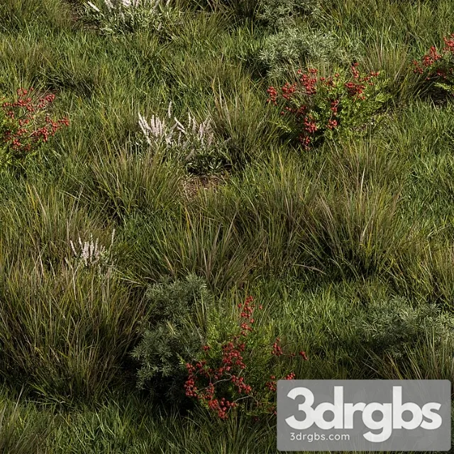 Nature meadow – grass set 17 Nature meadow – grass set 17