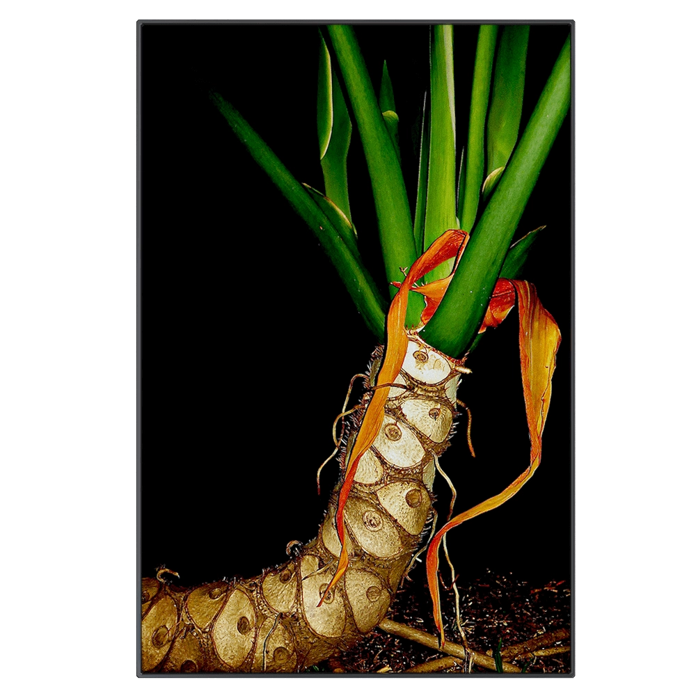 NC Design group® – Picture EBG01 3D Model