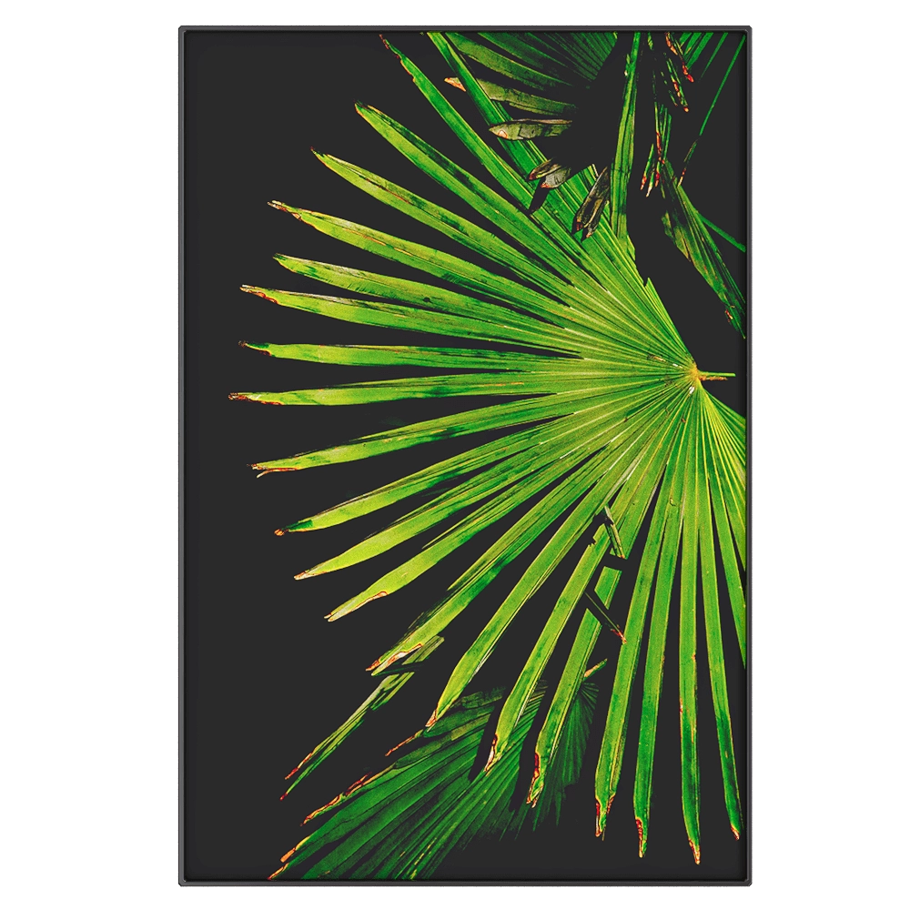 NC Design group® – Picture EBG11 3D Model