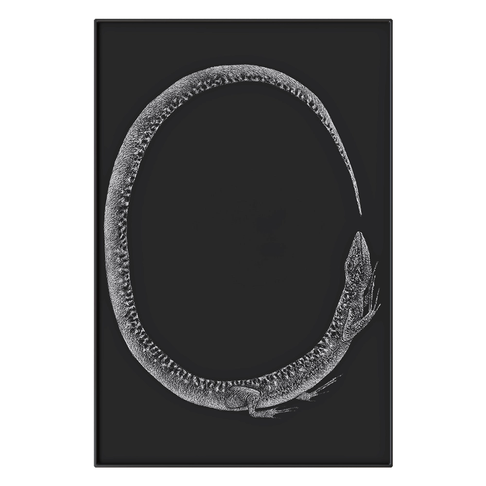 NC Design group – Picture NCD-LMR09 3D Model