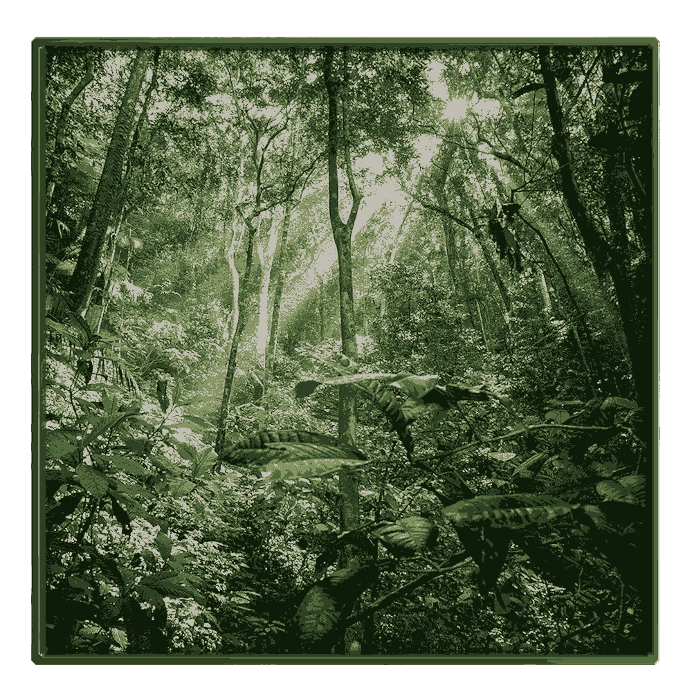 NC Design group – Picture NCD-MFV09 3D Model