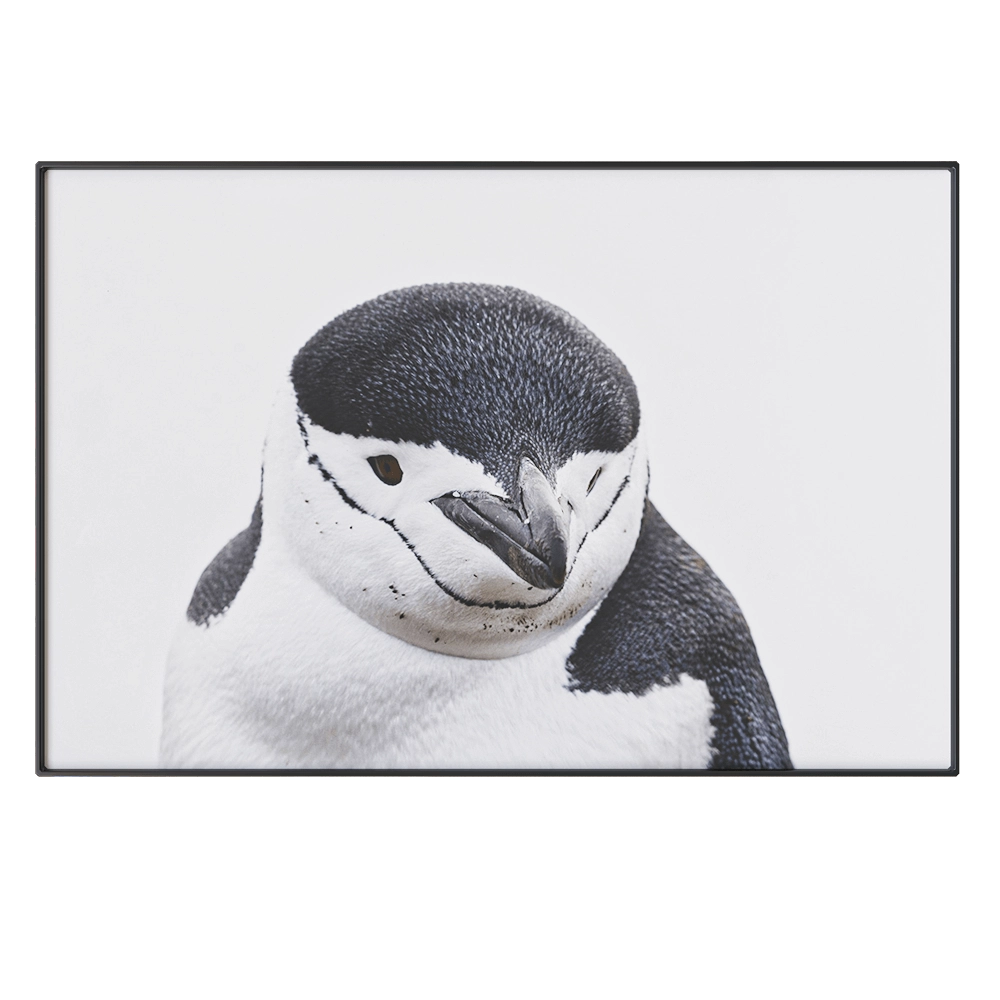 NC Design group – Picture NCD-PTZ03 3D Model