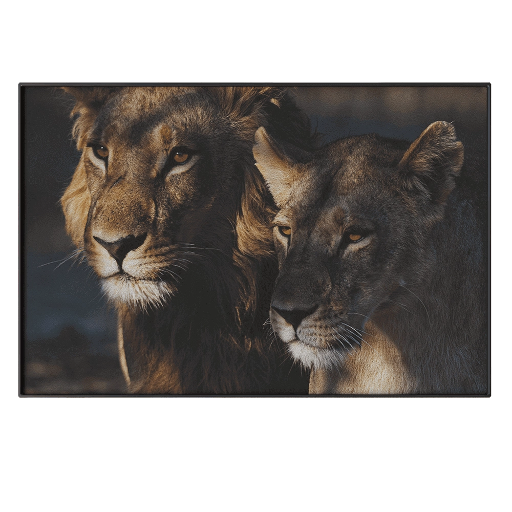 NC Design group – Picture NCD-PTZ06 3D Model