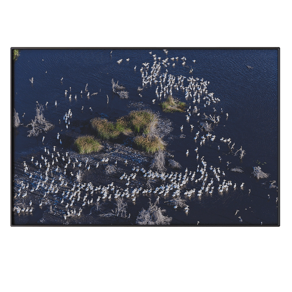 NC Design group – Picture NCD-PTZ07 3D Model