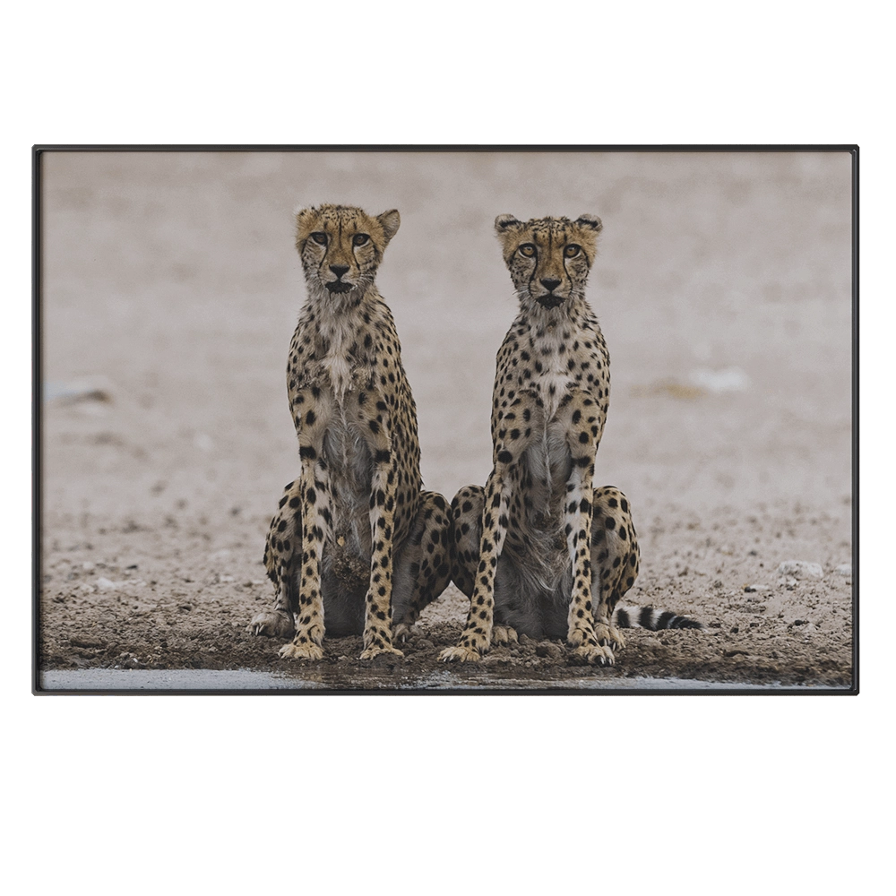 NC Design group – Picture NCD-PTZ09 3D Model