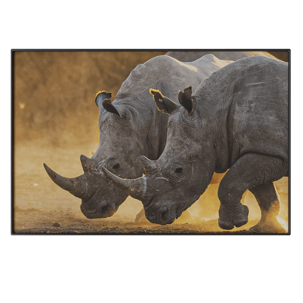 NC Design group – Picture NCD-PTZ12 3D Model