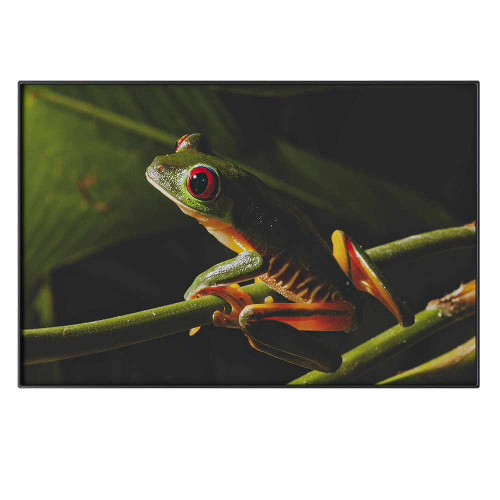 NC Design group – Picture NCD-PTZ17 3D Model