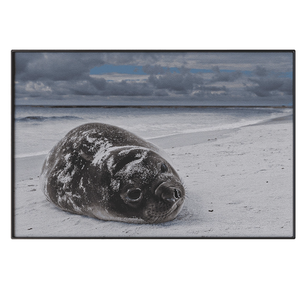 NC Design group – Picture NCD-PTZ20 3D Model