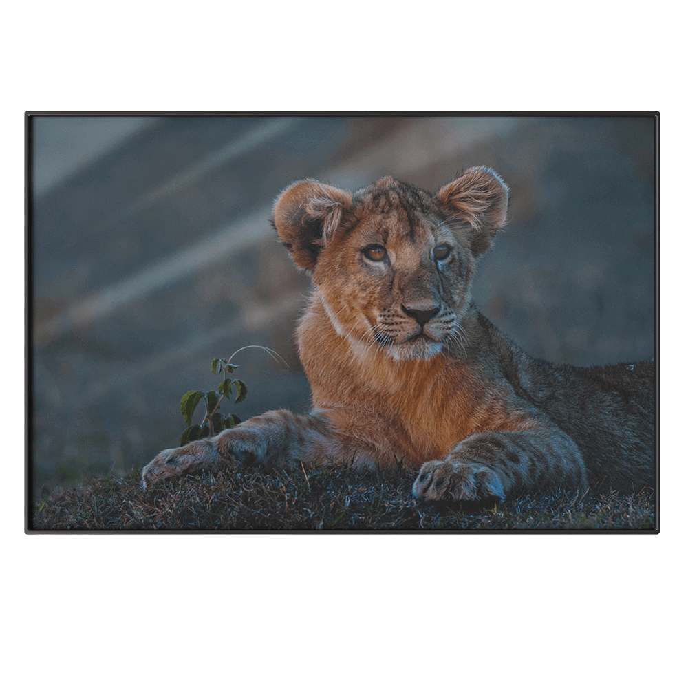 NC Design group – Picture NCD-PTZ24 3D Model