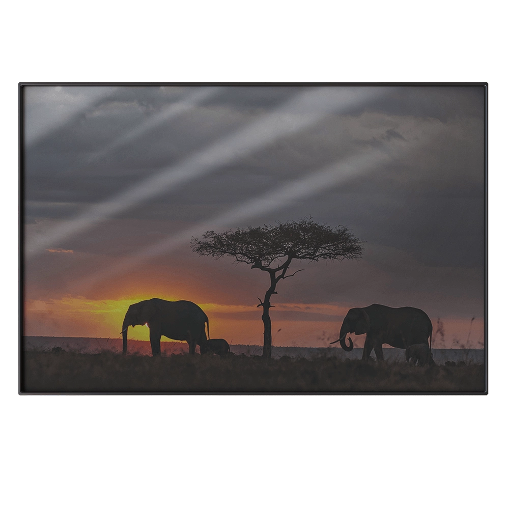 NC Design group – Picture NCD-PTZ25 3D Model