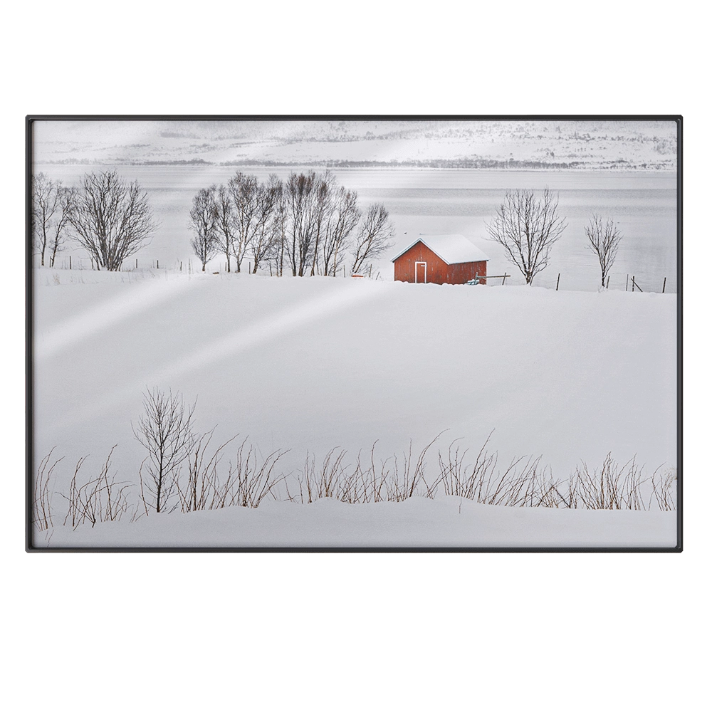 NC Design group – Picture NCD-PTZ31-AL 3D Model