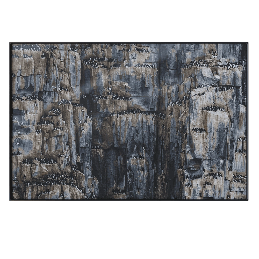 NC Design group – Picture NCD-PTZ35 3D Model