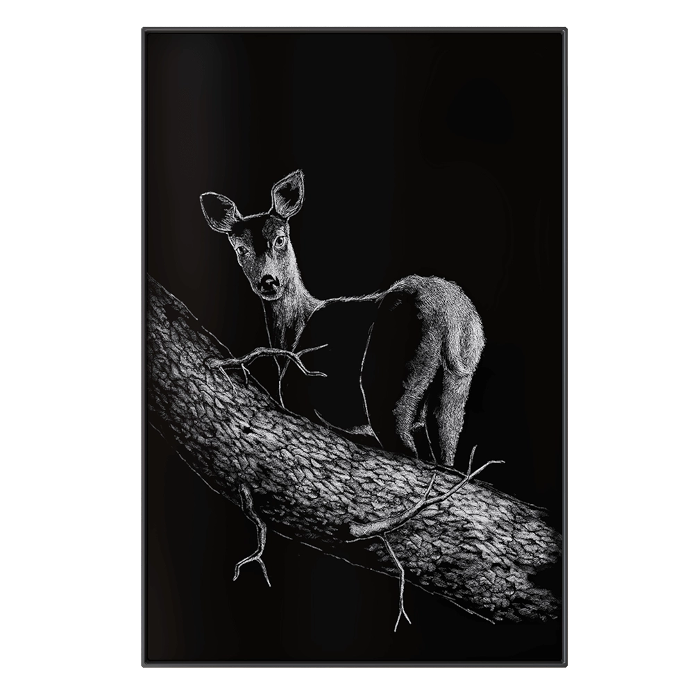 NC Design group – Picture NCD-SPR06 3D Model