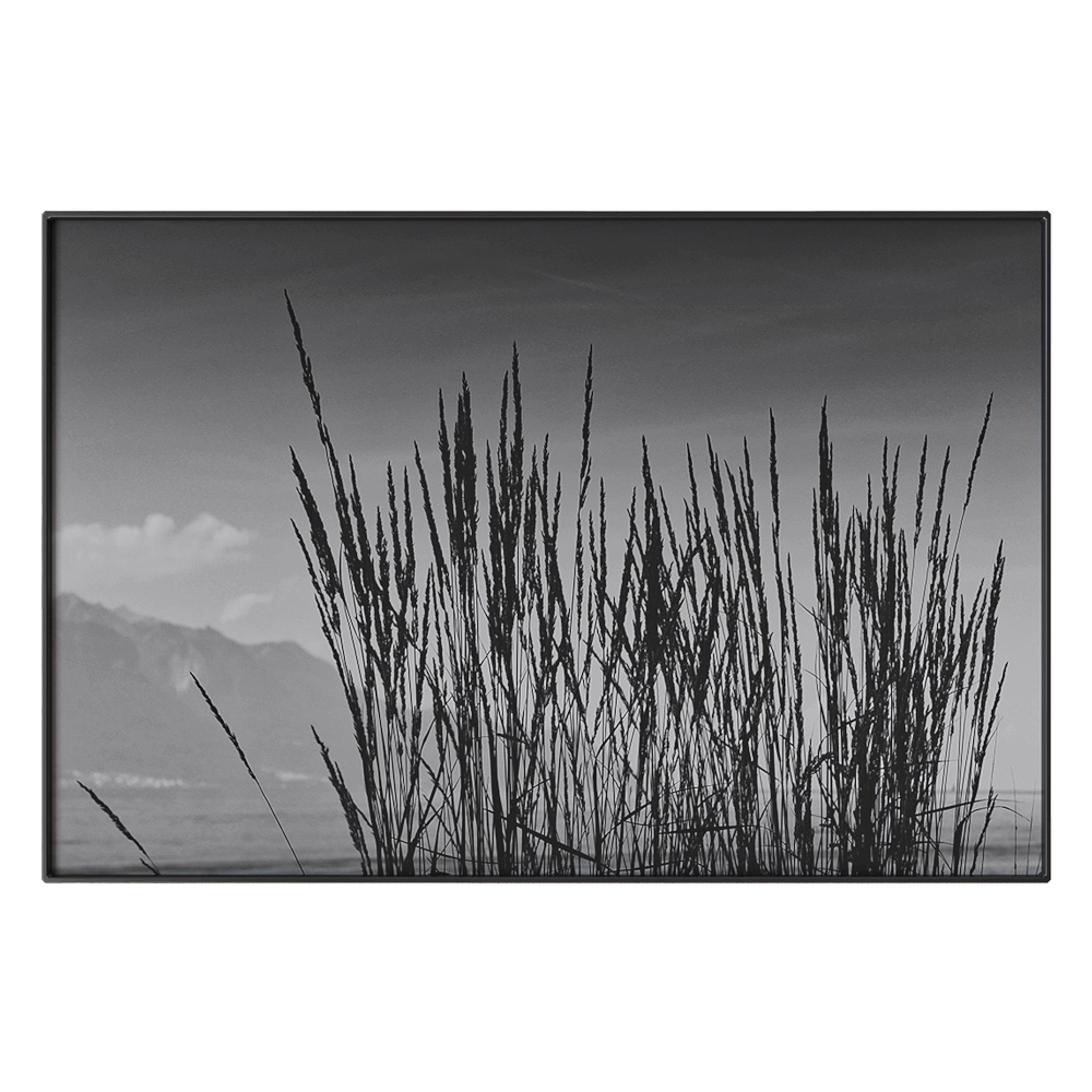 NC Design group – Picture NCD-TBK01 3D Model