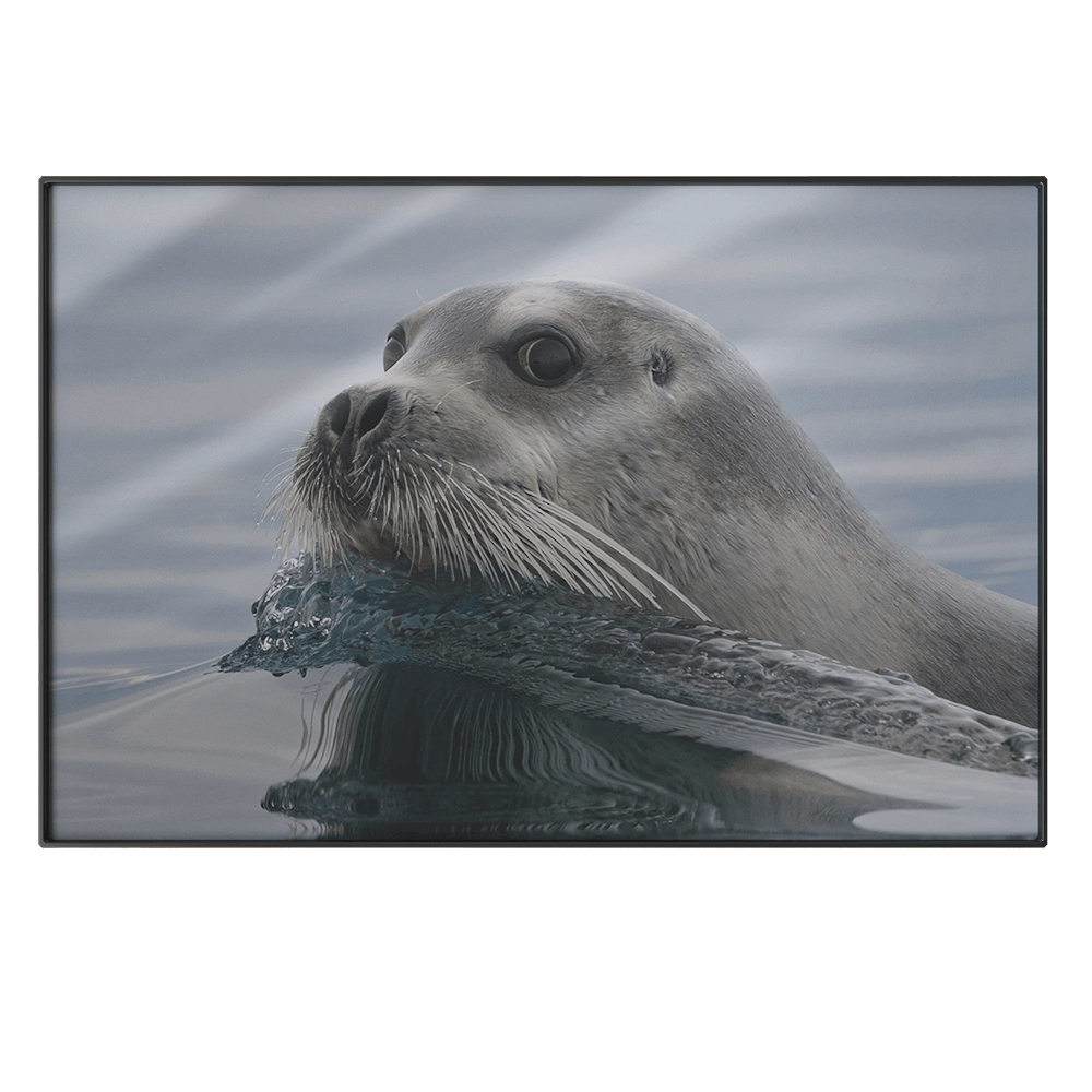 NC Design group – Picture PTZ36 3D Model