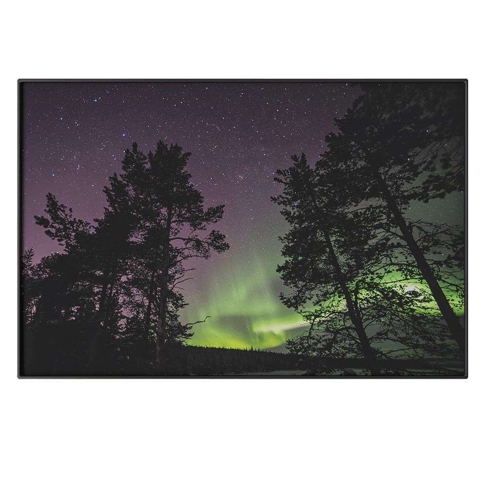 NC Design group – Picture PTZ43 3D Model