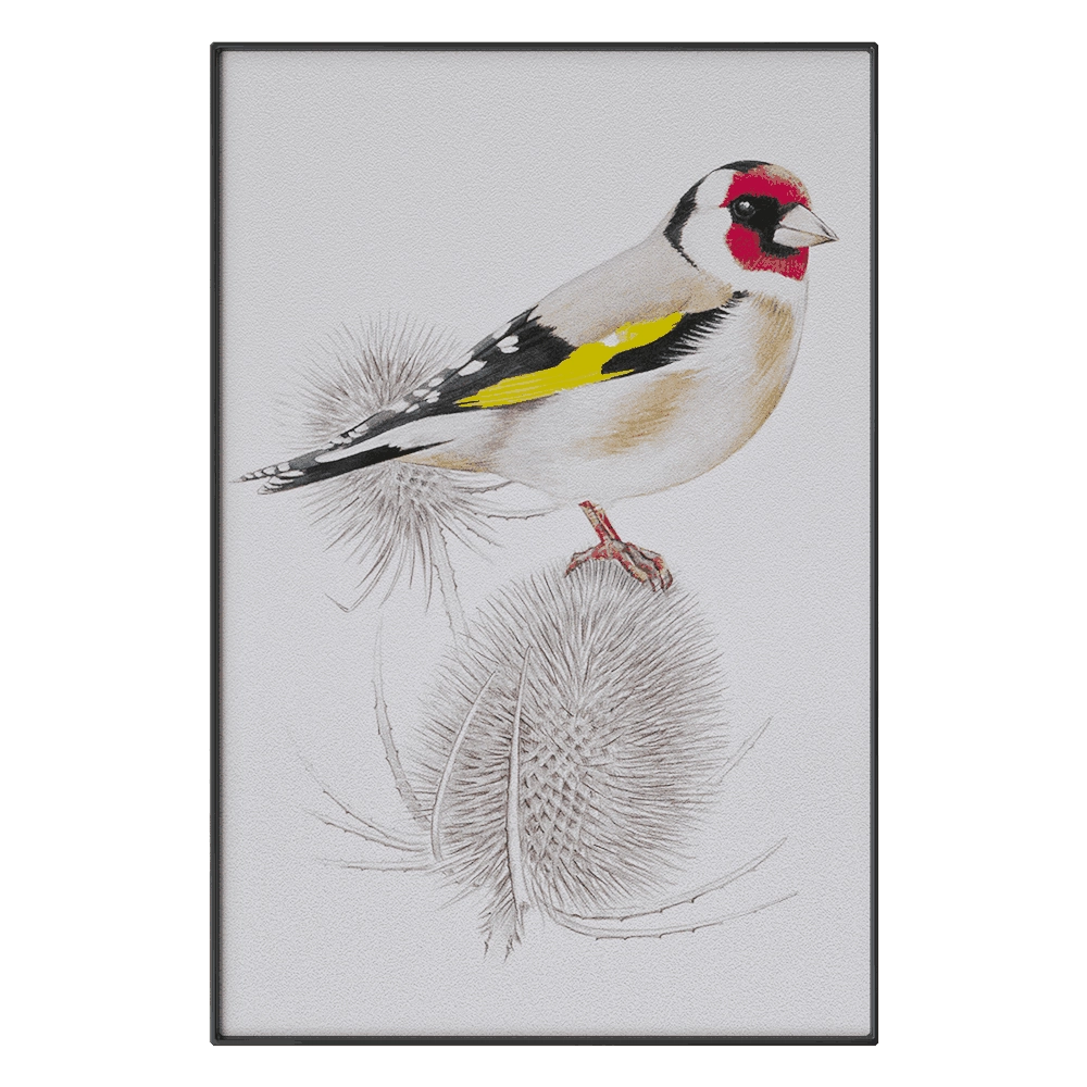 NC Design group – Picture SLU05 3D Model