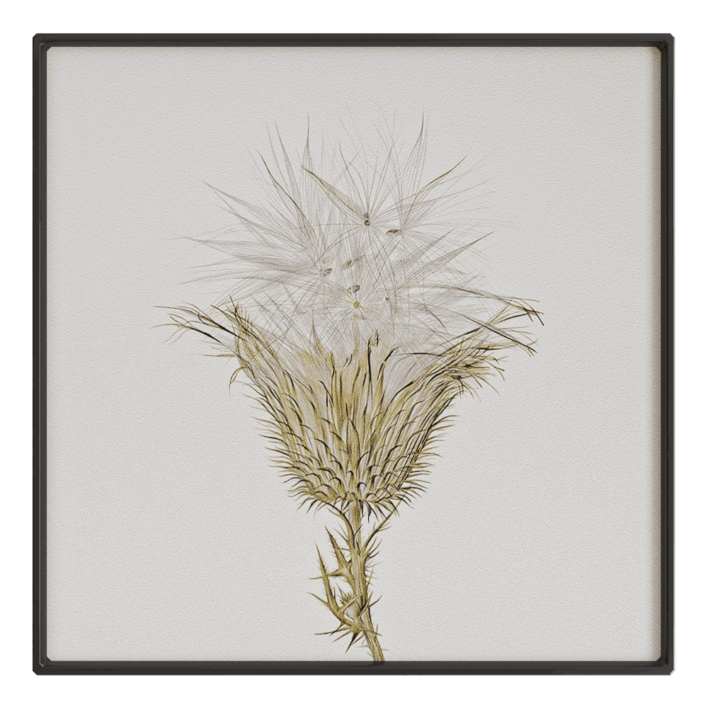 NC Design group – Picture SLU07 3D Model