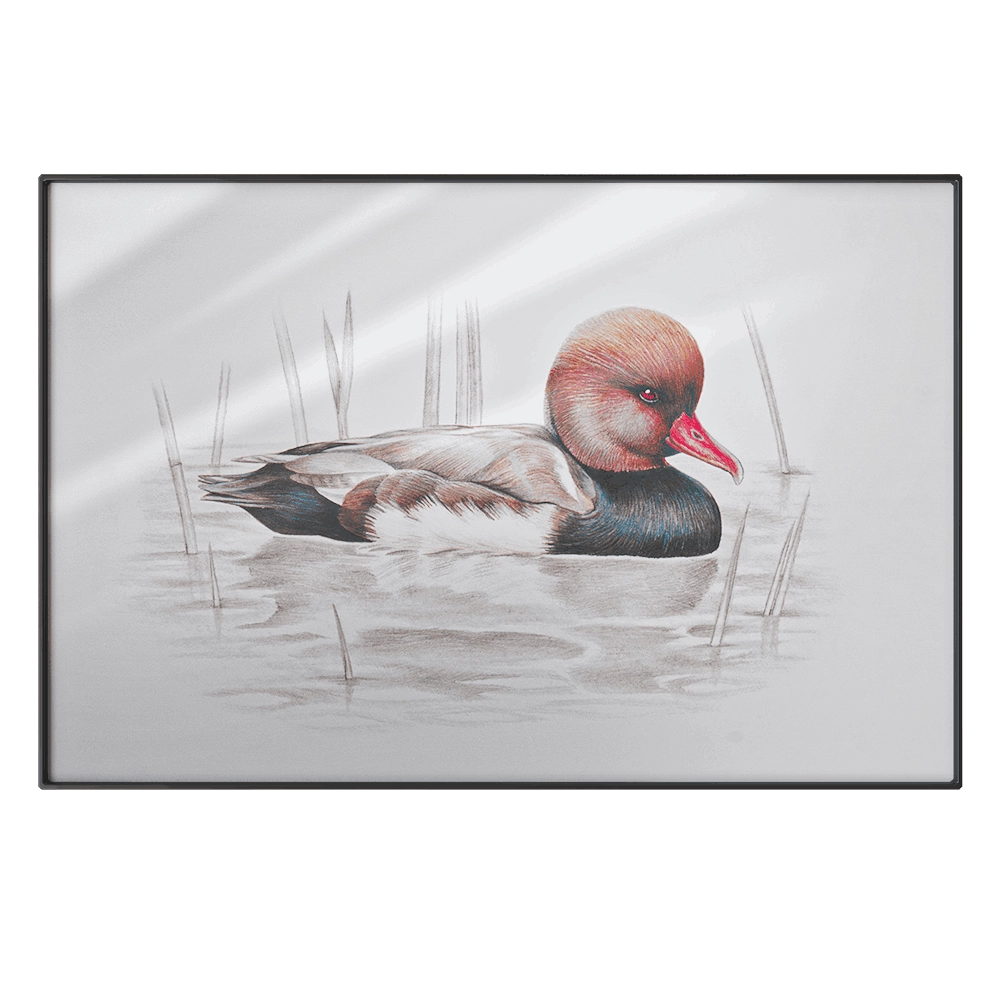 NC Design group – Picture SLU09 3D Model