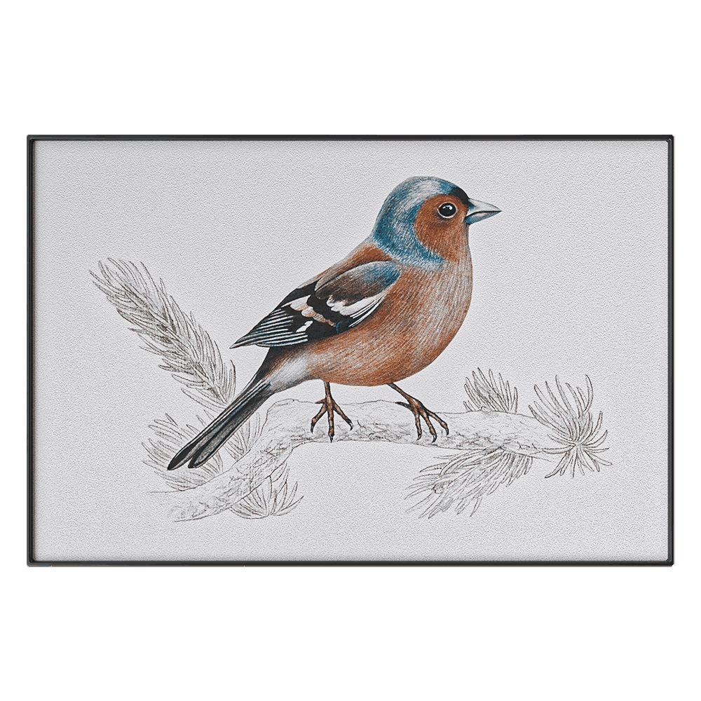 NC Design group – Picture SLU10 3D Model