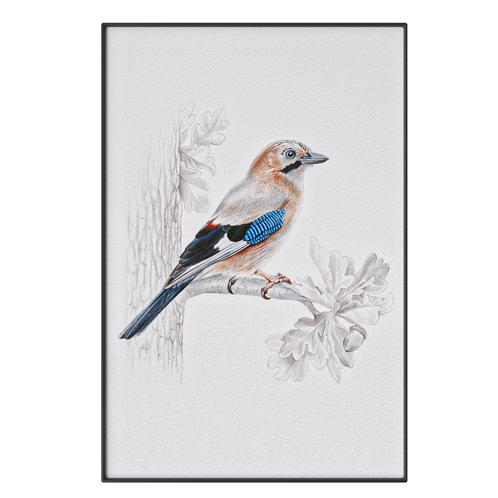 NC Design group – Picture SLU11 3D Model