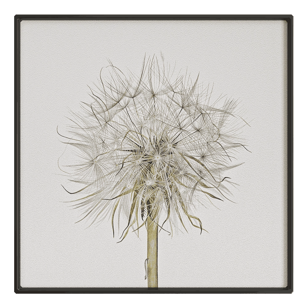 NC Design group – Picture SLU12 3D Model