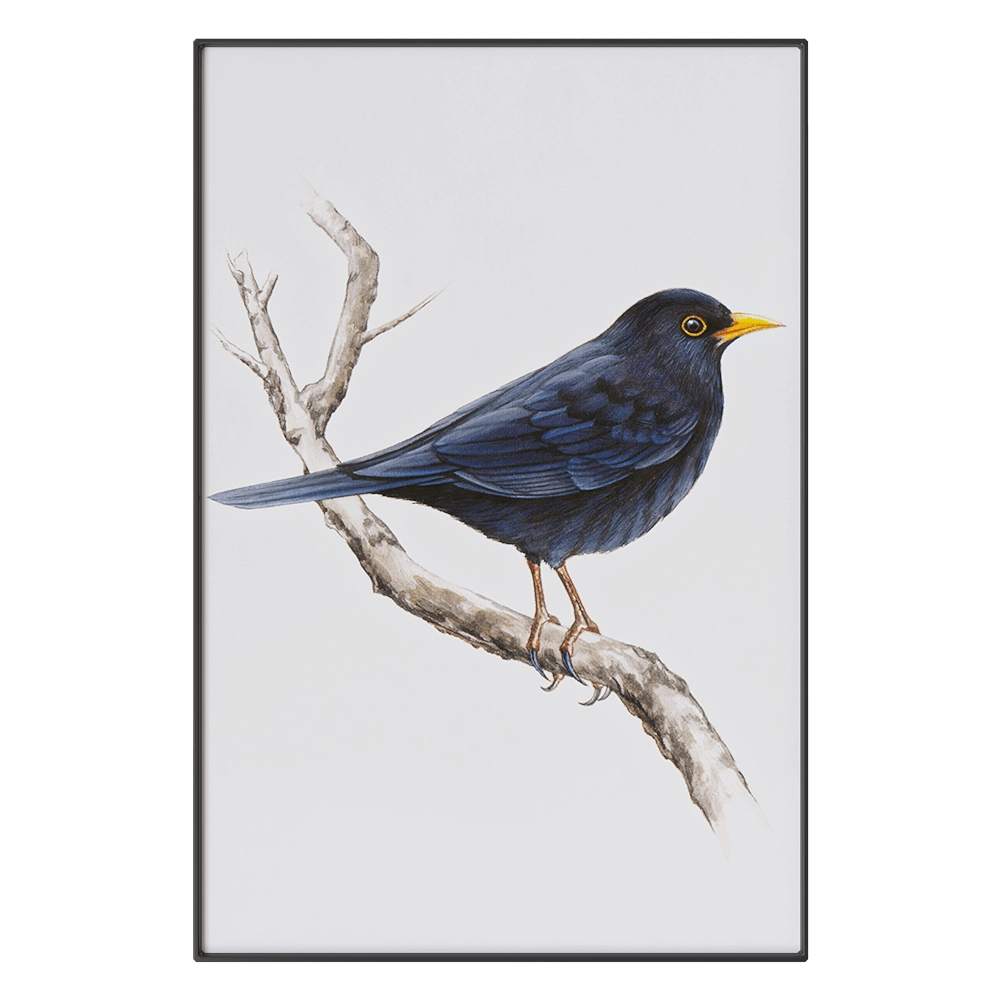 NC Design group – Picture SLU13 3D Model