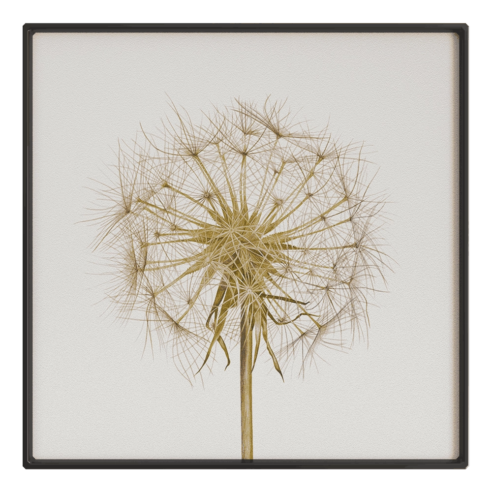 NC Design group – Picture SLU19 3D Model