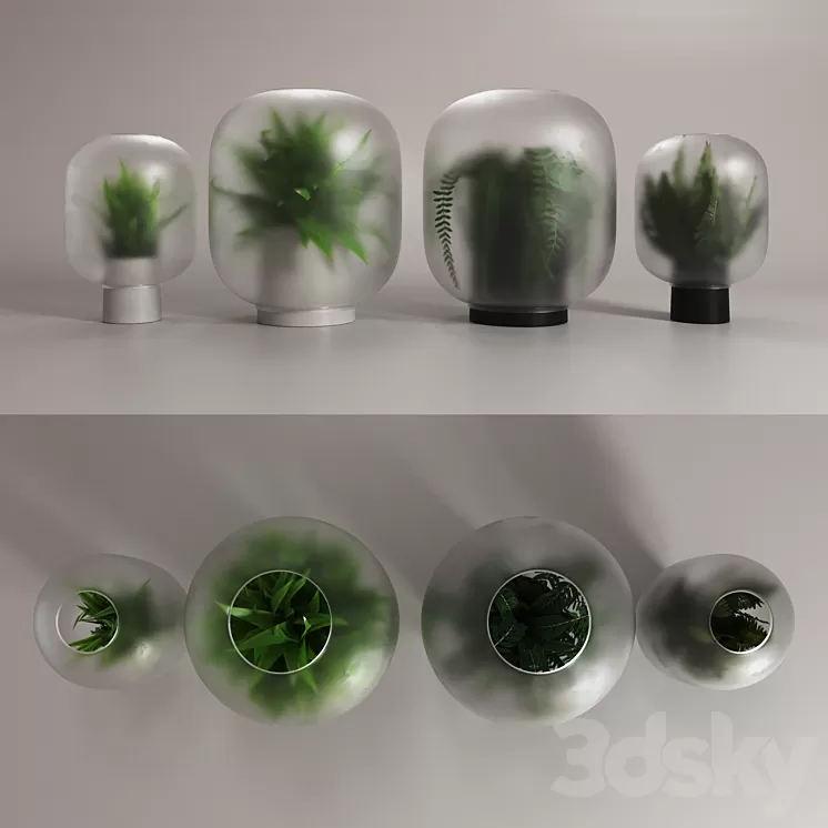 NEBL vases 3D Model