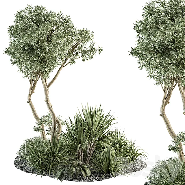 Needle tree and Bush – Outdoor Garden Set 305 3DModel Needle tree and Bush – Outdoor Garden Set 305 3DModel