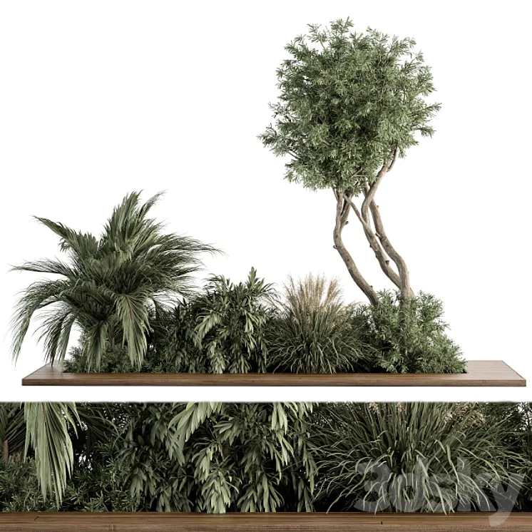 Needle tree and Palm Bush – Outdoor Garden Set 314 3D Model Free Download